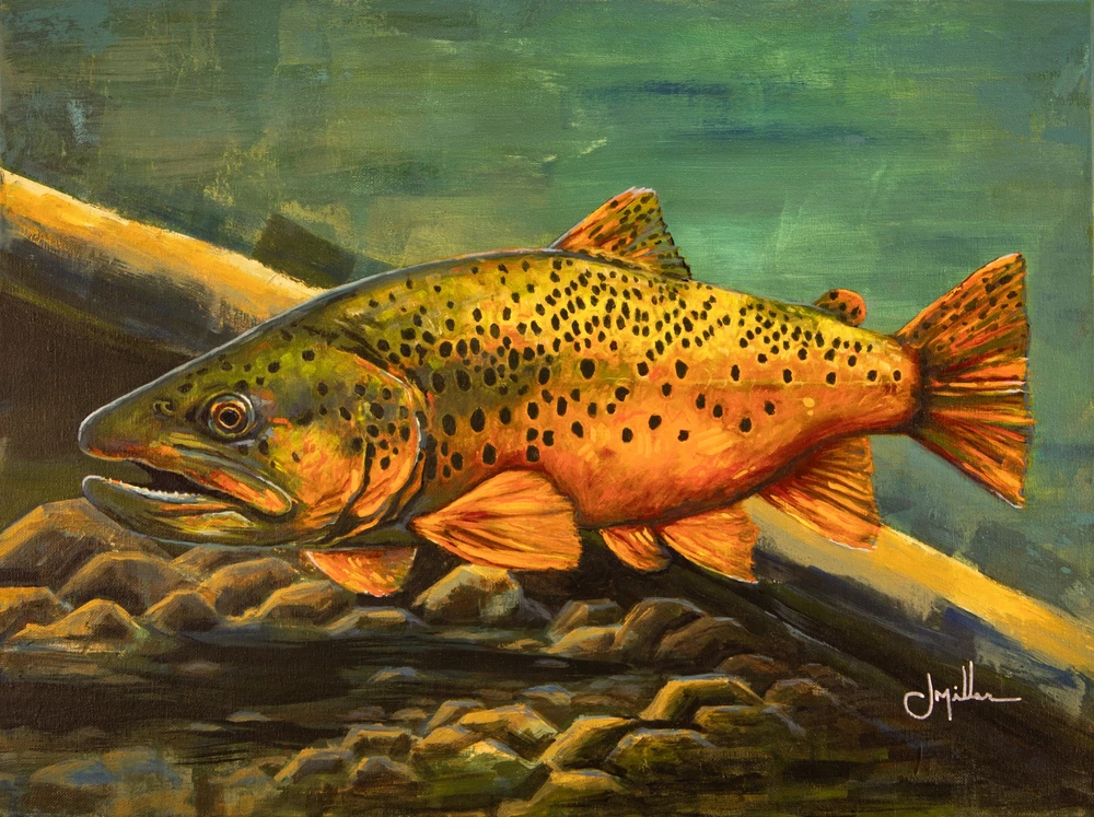 Brown Trout - Elusive Gold, painting by Jeff Miller, full view