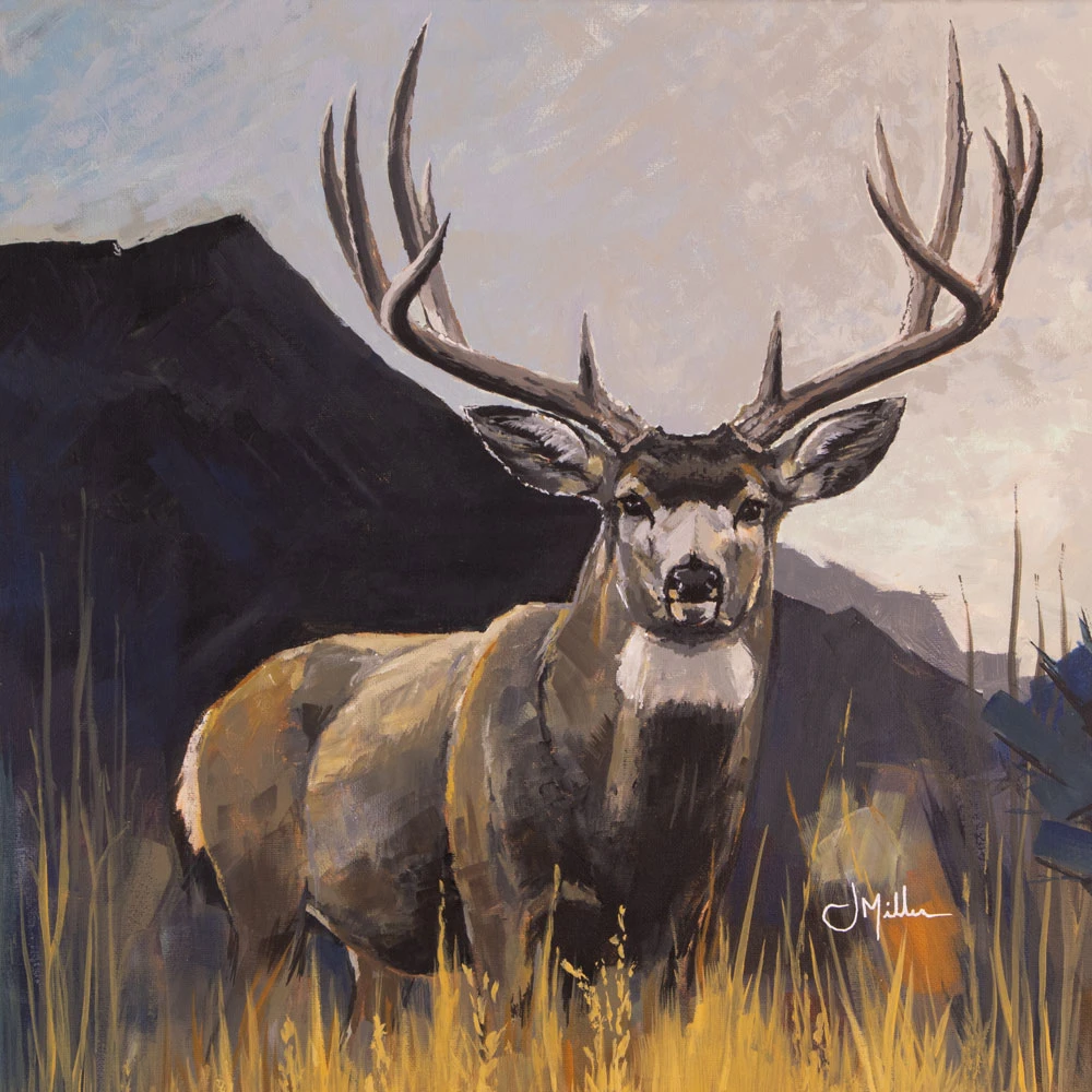 Mule Deer Buck (working title), painting by Jeff Miller