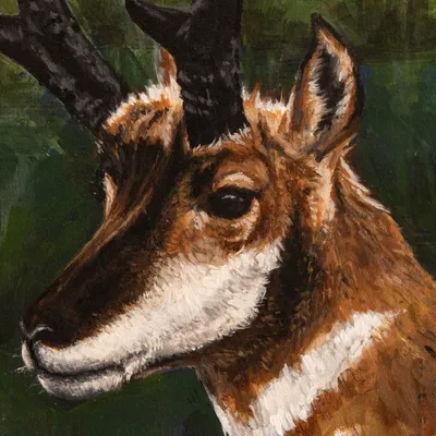 The Speed of the Prairie, detail of the pronghorn's head and horns in Jeff Miller's expressive brushwork